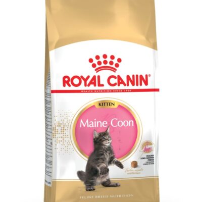 Royal Canin Maine Coon Kitten 4kg