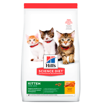 Hills Kitten