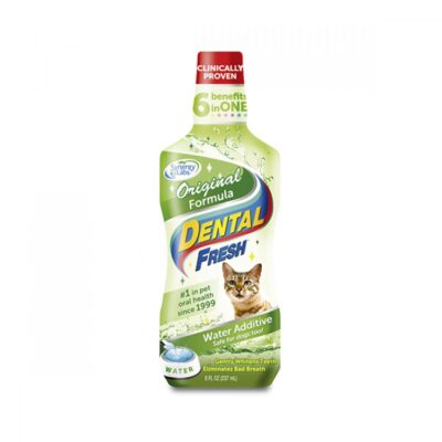 Dental Fresh Original Gato 8onzas