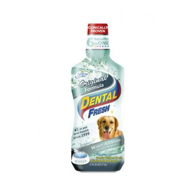 Dental Fresh Original