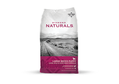 Diamond Natural Large Puppy