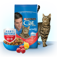 Cat Chow Activo Carne