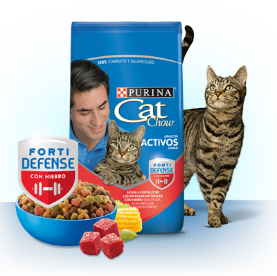 Cat Chow Activo Carne