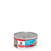 HIlls Gato Ocean Fish 5,5 Onzas