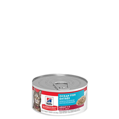 HIlls Gato Ocean Fish 5,5 Onzas