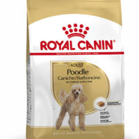 Royal Canin Poodle