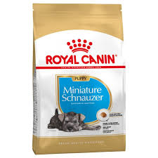 Royal Canin Mini Snawzer Puppy