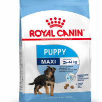 Royal Canin Maxi Puppy