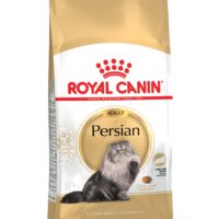 Royal Canin Persian Adulto