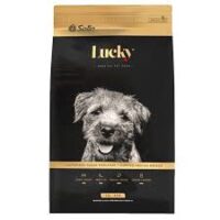 Lucky Cachorro Raza Mediana