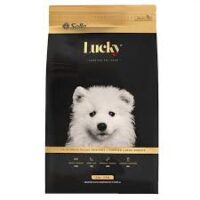 Lucky Cachorro Raza Grande