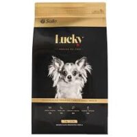 Lucky Adulto Raza Pequeña