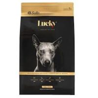 Lucky Adulto Raza Mediana