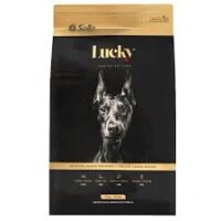 Lucky Adulto Raza Grande