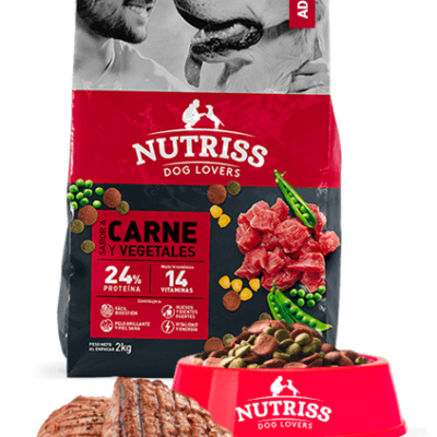 Nutriss Adulto Carne