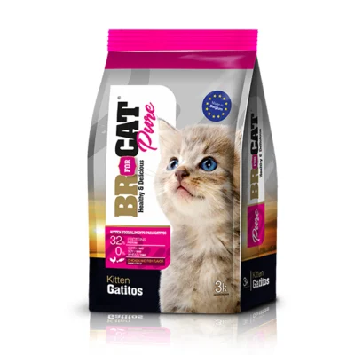 BR For Cat Gatito