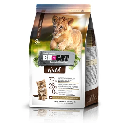 BR For Cat Wild Kitten