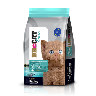BR For Cat Gatito Salmon
