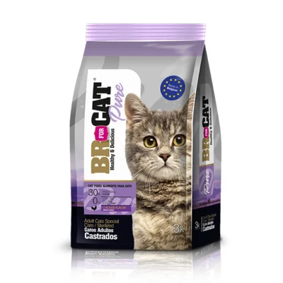 BR For Cat Gato Castrado
